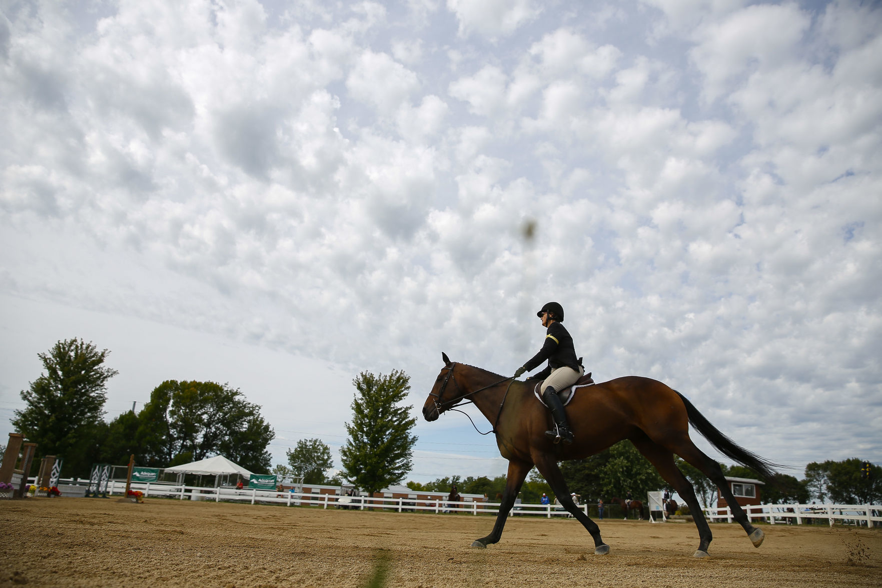 Midstates Horse Show 11